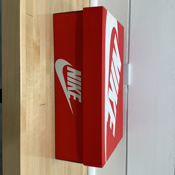 Nike Teddy Bear dunks - Picture 8 of 9